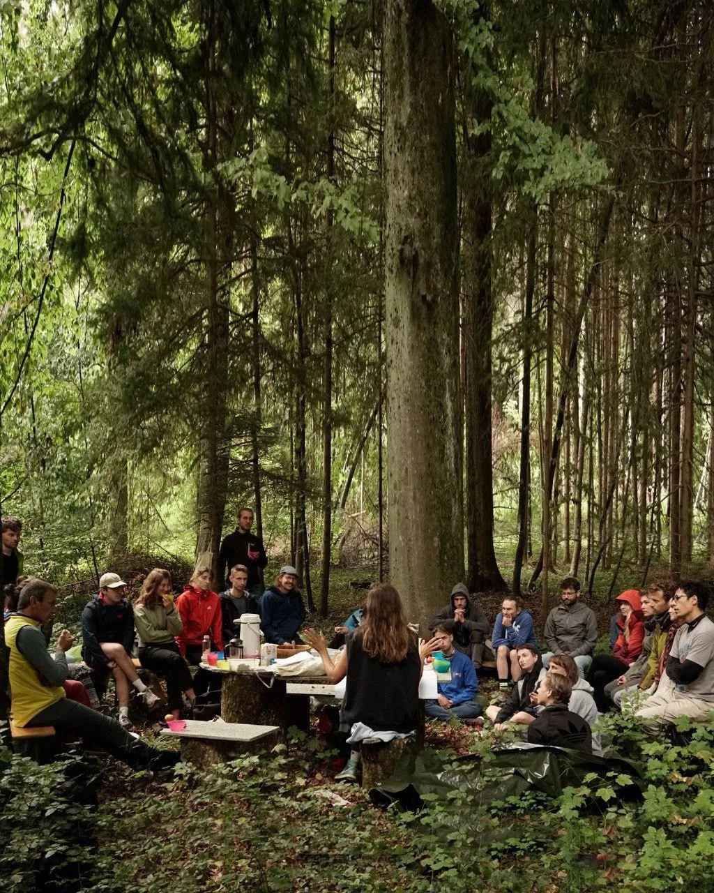 Gruppe von Menschen sitzt im Wald auf dem Boden.