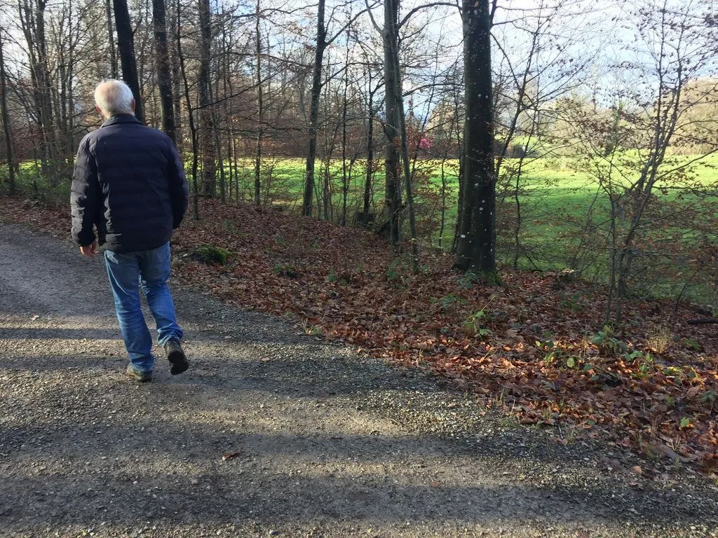 Mann im Winter läuft durch Baumallee