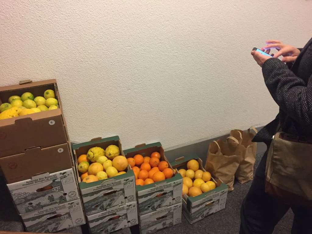 Mann steht vor Kisten voller Orangen und Zitronen
