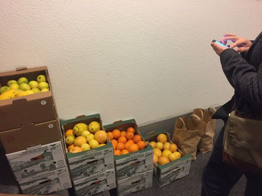 Mann steht vor Kisten voller Orangen und Zitronen.