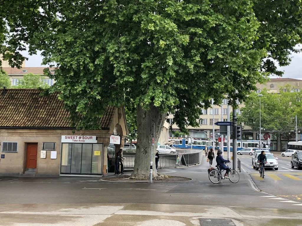 Ein Fahrradfahrer neben einem Baum