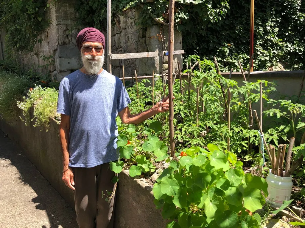 Mann mit Turban steht neben einem Tomatenbeet
