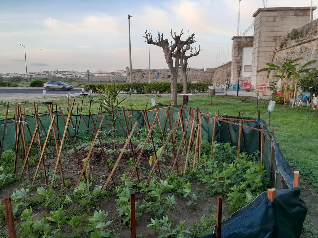 Rundes Kräuterbeet eingezäunt auf grosser Wiese