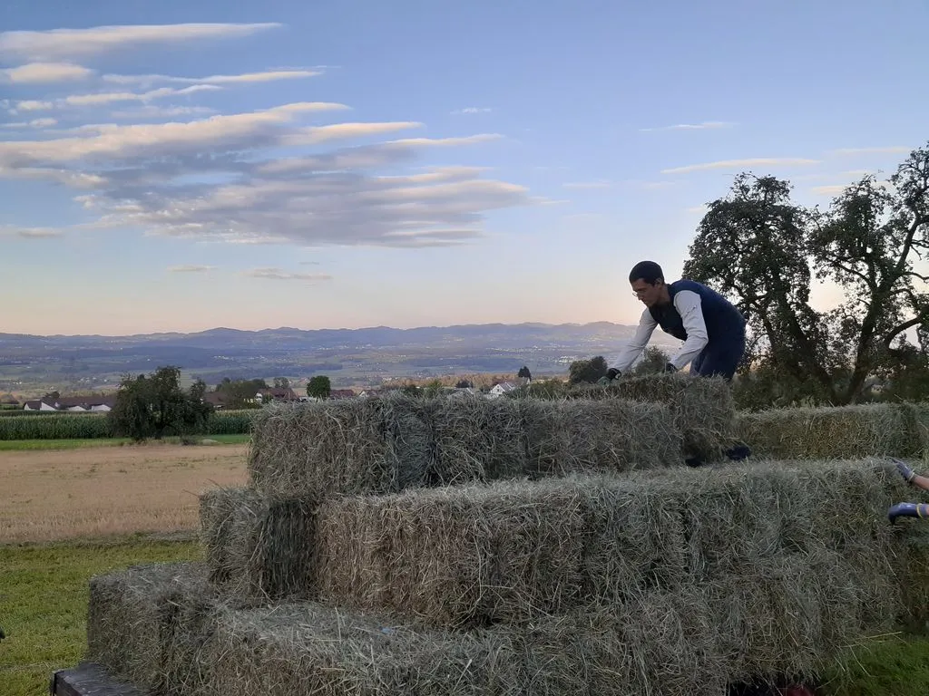 Mann stapelt Heuballen auf Feld bei Sonnenuntergang